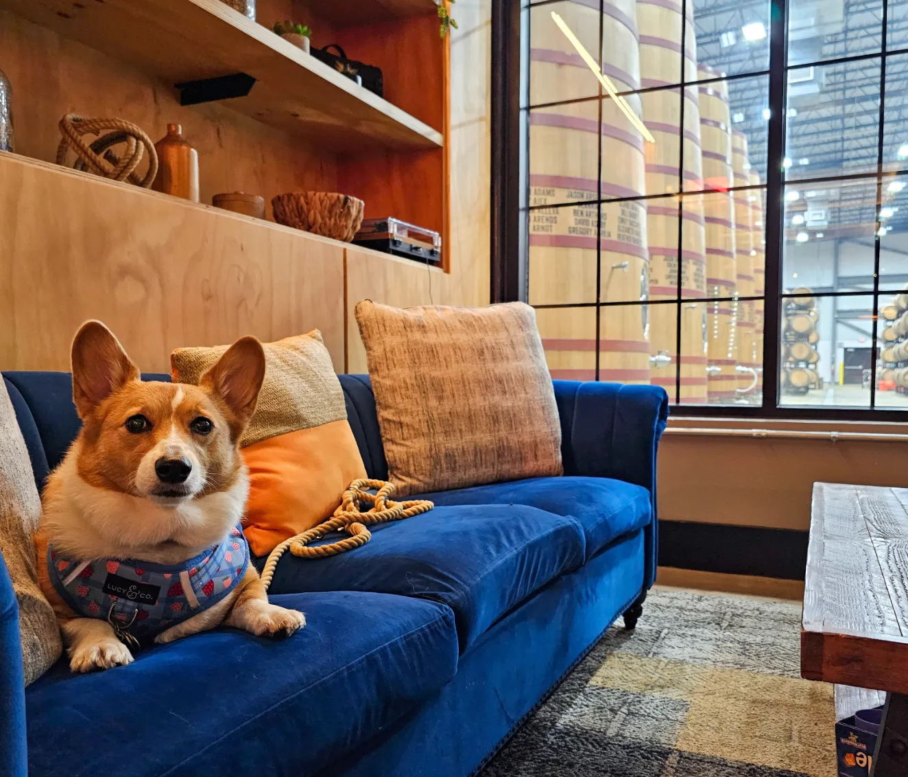 Ein watching in the fermentation room