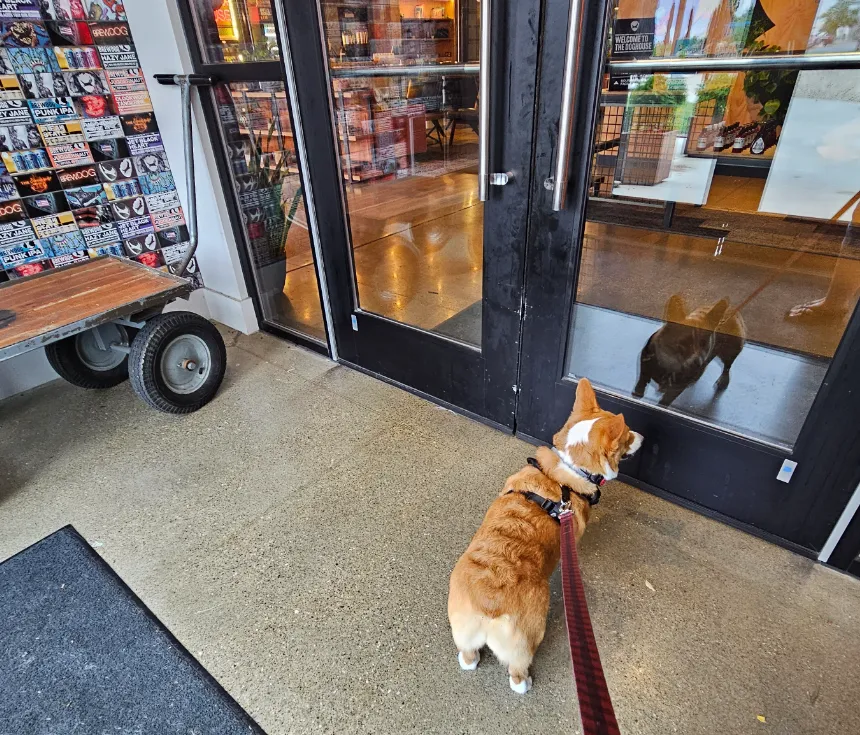 Ein trying to get in