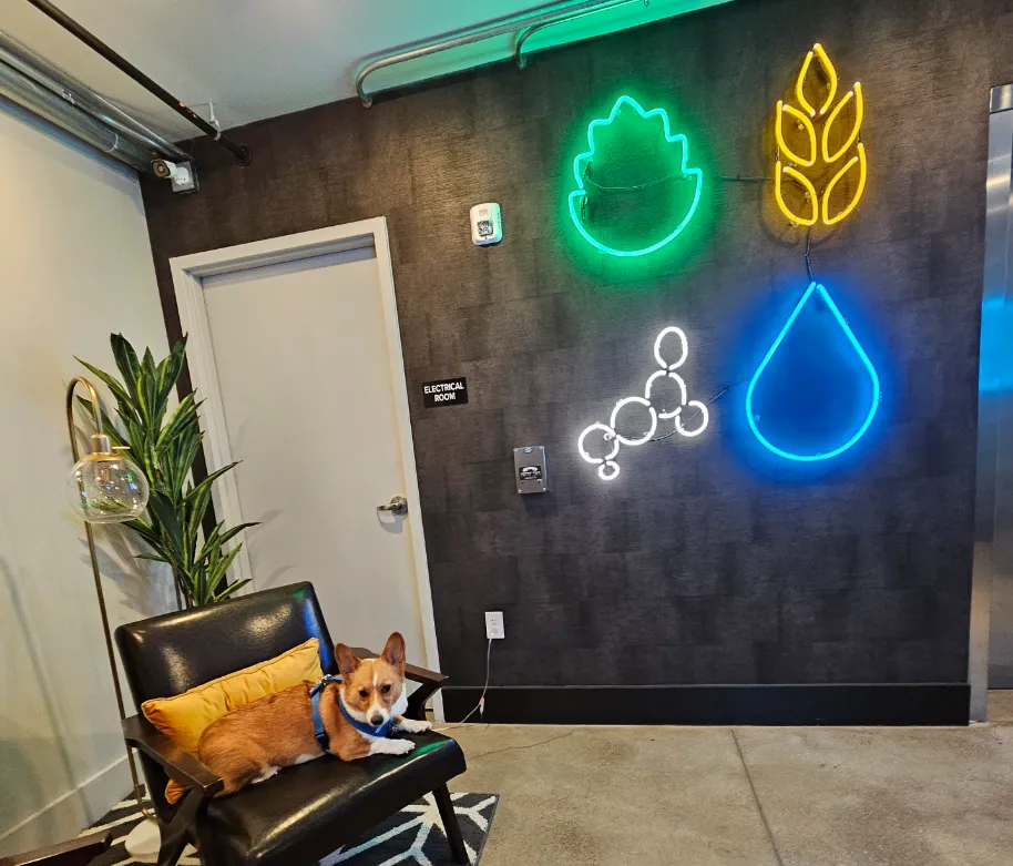 Ein in the hotel floor lobby chair