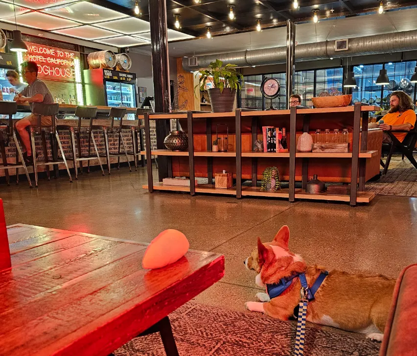 Ein watching in the hotel lobby