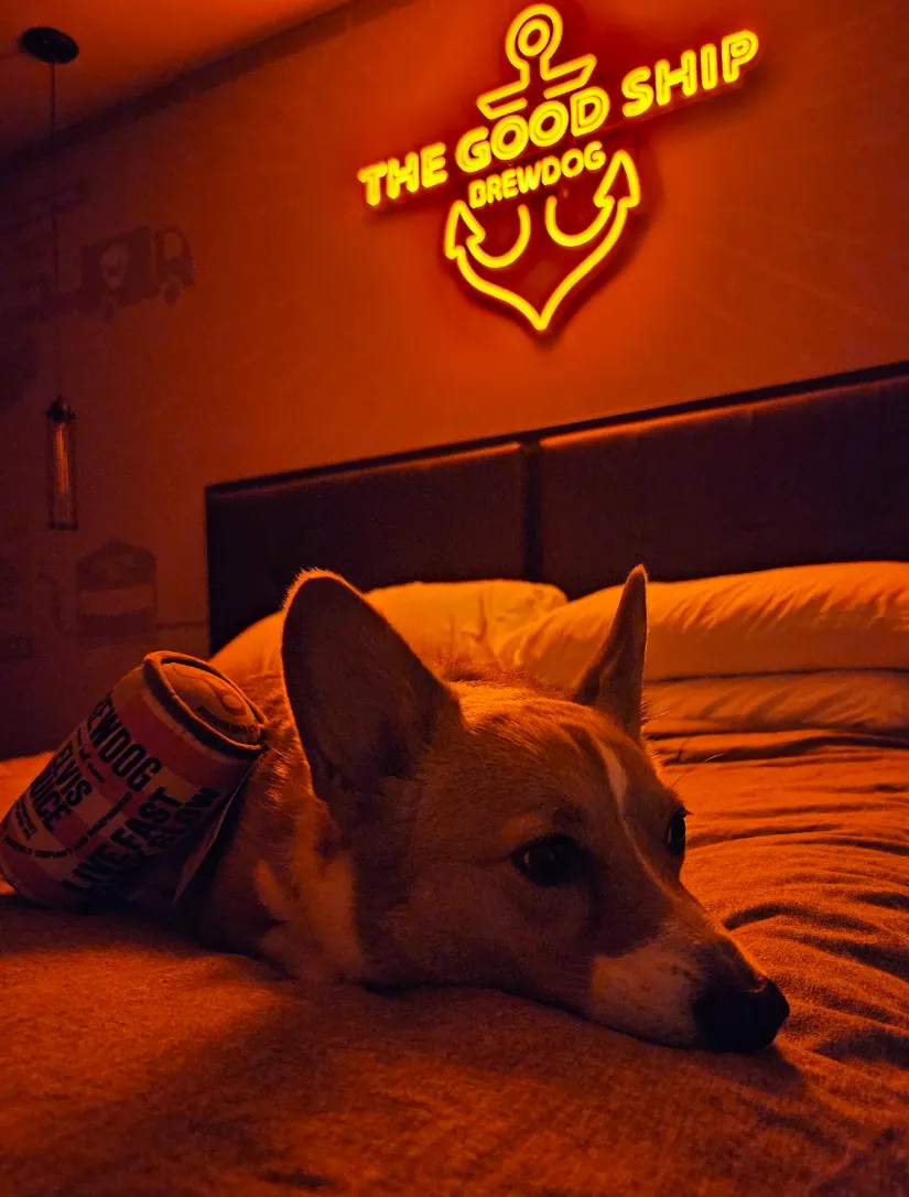 Ein on the bed in the hotel