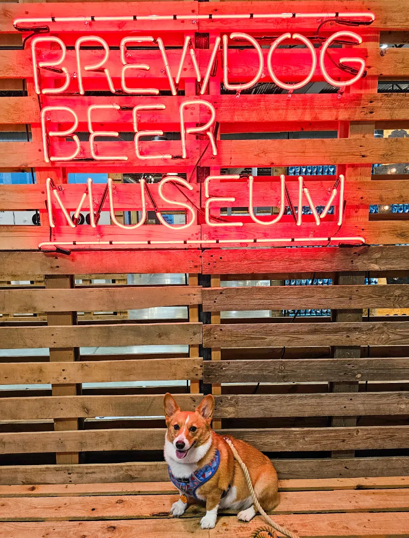 Ein in the Brewdog Beer Museum