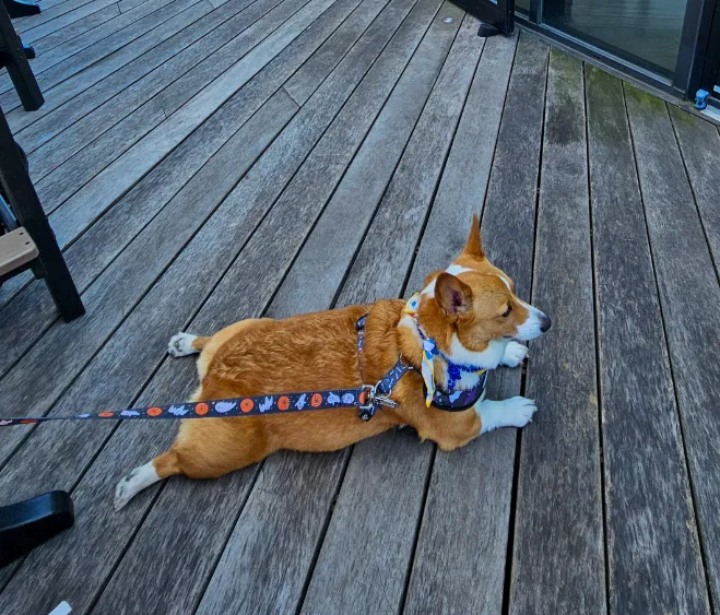 Ein relaxing in the shade