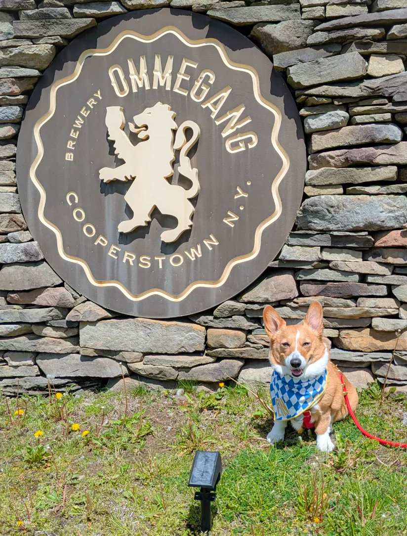 Ein by the front sign
