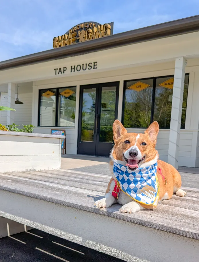 Ein waiting outside the tap room