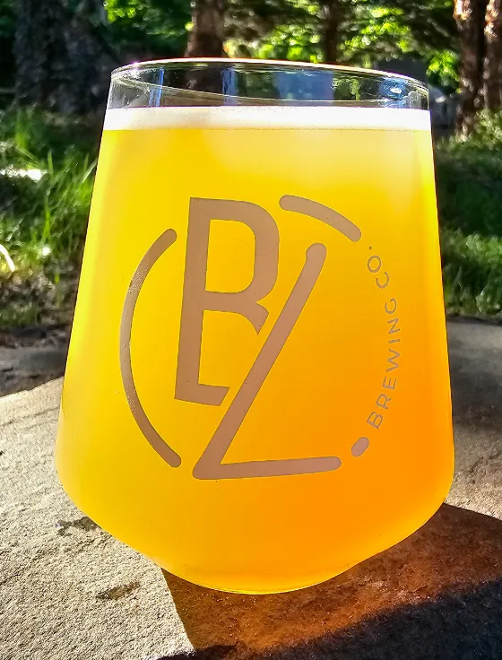 Image of Dive In beer