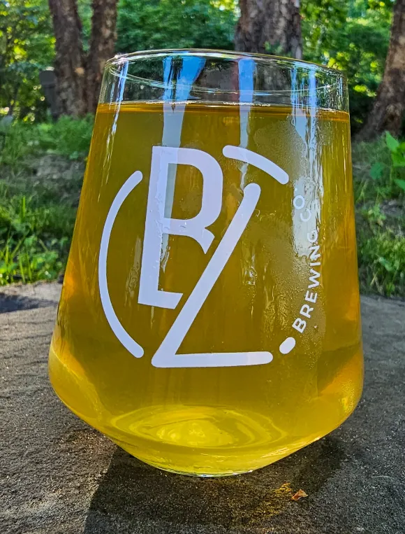 Image of Let It Gose beer